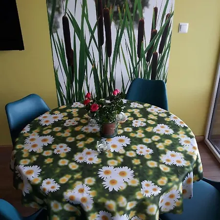 Apartamento Mazurskie Klimaty Tatarak Olsztyn (Warmian-Masurian)
